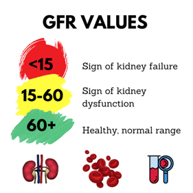 Cystatin C and glomerular filtration rate