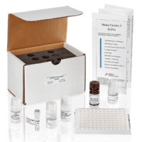 Mouse Cystatin C ELISA